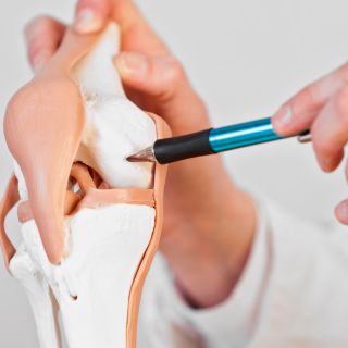 Restauration du tissu cartilagineux